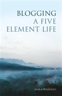 Bertrand.pt - Blogging A Five Element Life