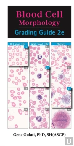 Bertrand.pt - Blood Cell Morphology Grading Guide