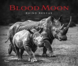 Bertrand.pt - Blood Moon
