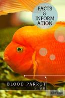 Blood Parrot Fish