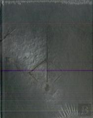 Bloodborne Complete Guide 25th Anniversary Edition