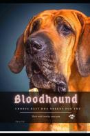 Bloodhound