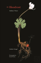 Bloodroot
