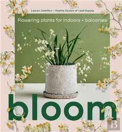 Bertrand.pt - Bloom