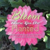 Bloom Where You Are Planted: Inspirational Messages And Guidance In Nature With Sheila Henley