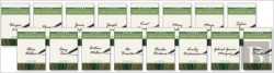 Bertrand.pt - Blooms How To Write About Literature Se