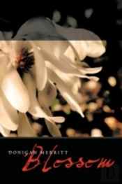 Blossom