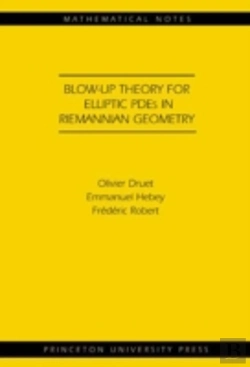 Bertrand.pt - Blow-Up Theory For Elliptic Pdes In Riemannian Geometry