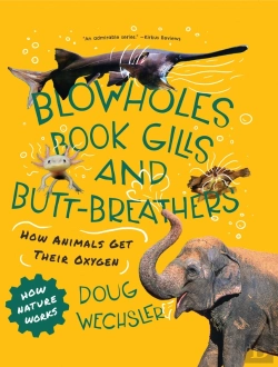 Bertrand.pt - Blowholes, Book Gills, And Butt-Breathers