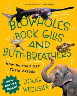 Bertrand.pt - Blowholes, Book Gills, And Butt-Breathers