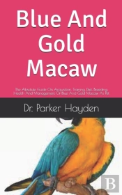 Blue And Gold Macaw