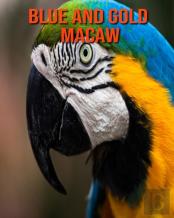 Blue And Gold Macaw
