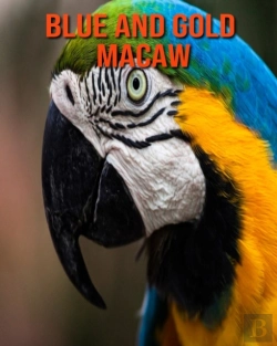 Bertrand.pt - Blue And Gold Macaw
