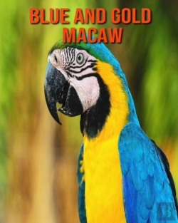 Bertrand.pt - Blue And Gold Macaw