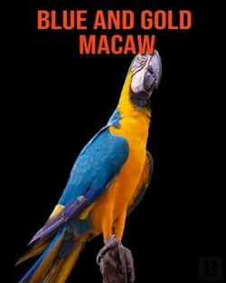Bertrand.pt - Blue And Gold Macaw