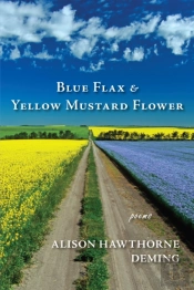 Blue Flax & Yellow Mustard Flower