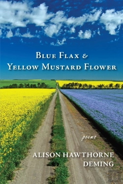 Bertrand.pt - Blue Flax & Yellow Mustard Flower