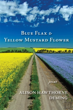 Bertrand.pt - Blue Flax & Yellow Mustard Flower