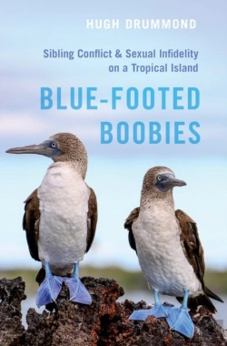Bertrand.pt - Blue-Footed Boobies