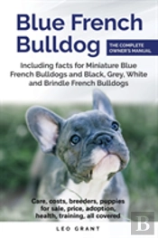 Blue French Bulldog