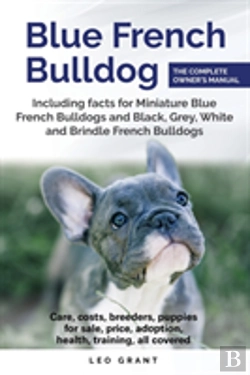 Bertrand.pt - Blue French Bulldog