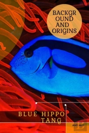 Blue Hippo Tang