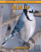 Blue Jay