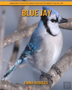 Bertrand.pt - Blue Jay