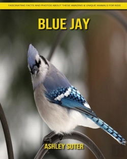 Bertrand.pt - Blue Jay