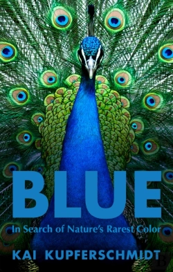 Bertrand.pt - Blue