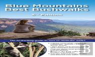 Blue Mountains Best Bushwalks