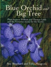 Blue Orchid And Big Tree