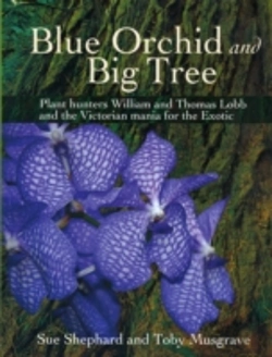 Bertrand.pt - Blue Orchid And Big Tree