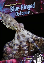 Blue-Ringed Octopus