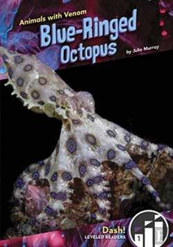 Bertrand.pt - Blue-Ringed Octopus