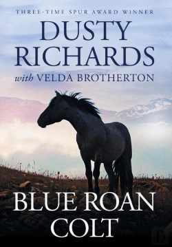 Bertrand.pt - Blue Roan Colt