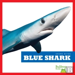 Bertrand.pt - Blue Shark
