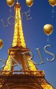 Blue Sky  I Love Paris  Eiffel Tower Gold Ballon Creative Blank Journal