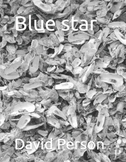 Bertrand.pt - Blue Star