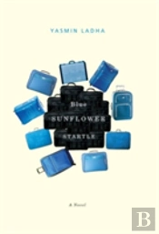 Blue Sunflower Startle