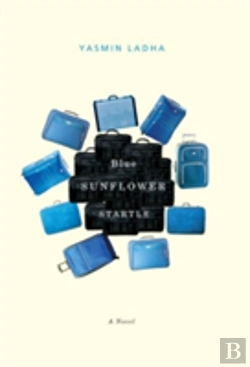 Bertrand.pt - Blue Sunflower Startle