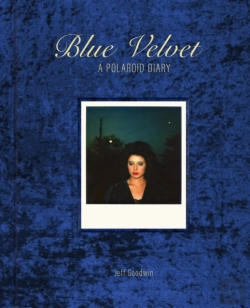 Bertrand.pt - Blue Velvet: A Polaroid Diary