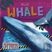 Blue Whale