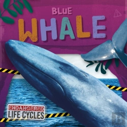 Bertrand.pt - Blue Whale