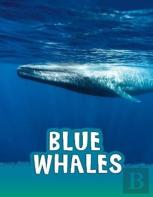 Blue Whales