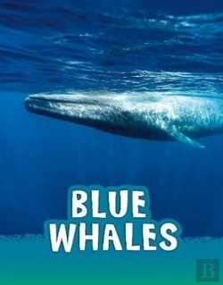 Bertrand.pt - Blue Whales