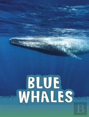 Blue Whales