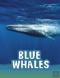 Bertrand.pt - Blue Whales