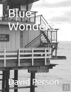 Bertrand.pt - Blue Wonders