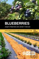 Blueberries